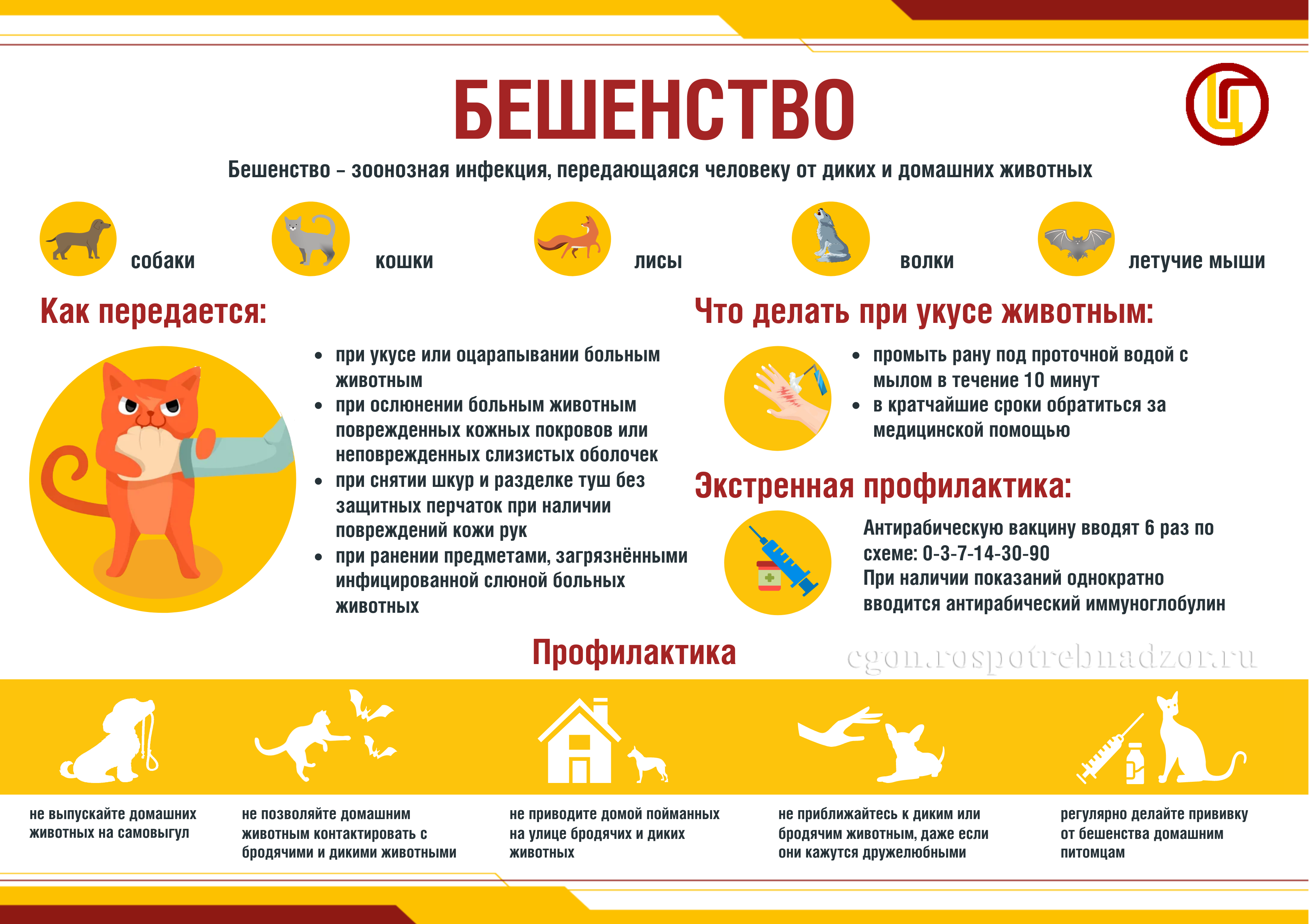 Beshenstvo