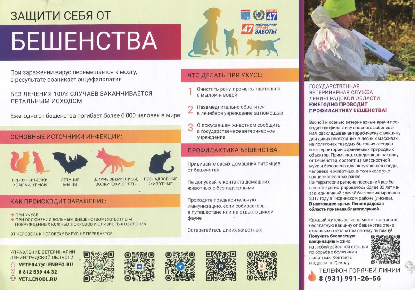 beshenstvo